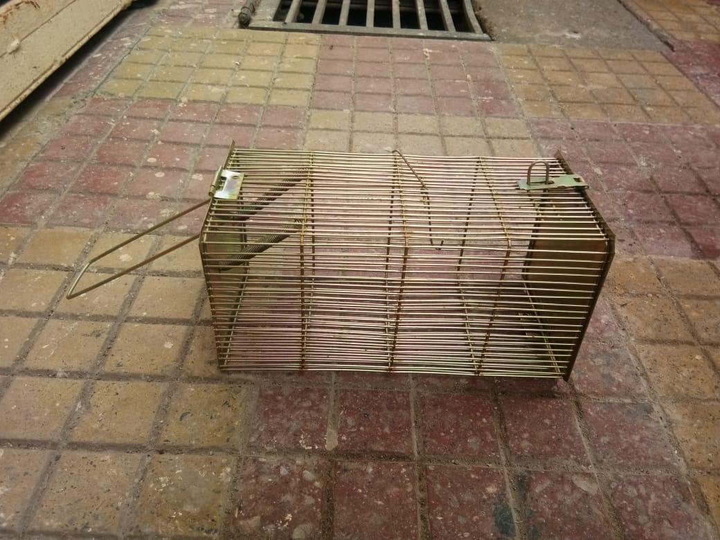 Steel Live Rat Trap 